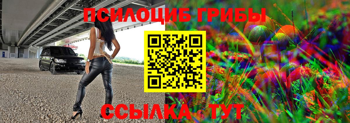 Галлюциногенные грибы Psilocybe  Вход с VPN  Грязи  Галлюциногенные грибы MAGIC MUSHROOMS 