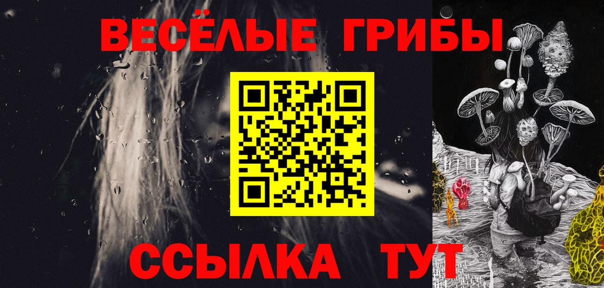 Галлюциногенные грибы GOLDEN TEACHER Грязи